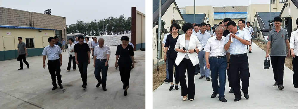 新聞=省委胥秘書長(zhǎng)與省農(nóng)業(yè)農(nóng)村廳楊廳長(zhǎng)一行及市、縣等領(lǐng)導(dǎo)，來我司視察01.jpg