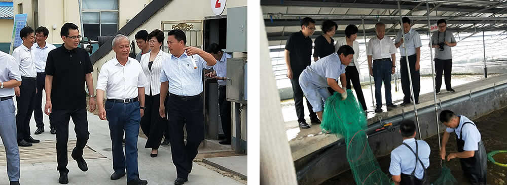 新聞=省委胥秘書長(zhǎng)與省農(nóng)業(yè)農(nóng)村廳楊廳長(zhǎng)一行及市、縣等領(lǐng)導(dǎo)，來我司視察03.jpg
