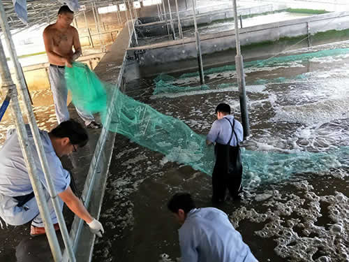 捕蝦現(xiàn)場01