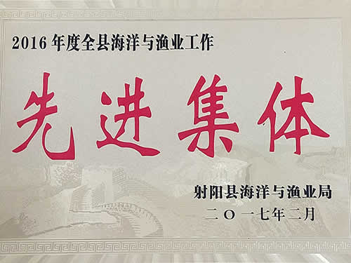 2016年度先進集體