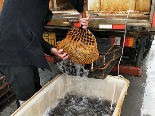 捕蝦現(xiàn)場10