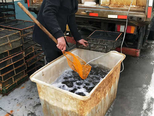 捕蝦現(xiàn)場08